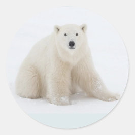 Polar Bear Runder Aufkleber