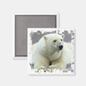 Polar Bear Square Magnet (Vorderseite/Rückseite)