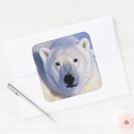 Polar Bear Square Sticker (Umschlag)