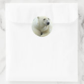 Polar Bear Sticker (Tasche)