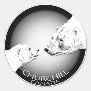 Polar Bear Stickers Churchill Canada Bärenaufklebe