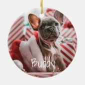 Polar Bear Sweater Blue Christmas Foto Ornament (Hinten)