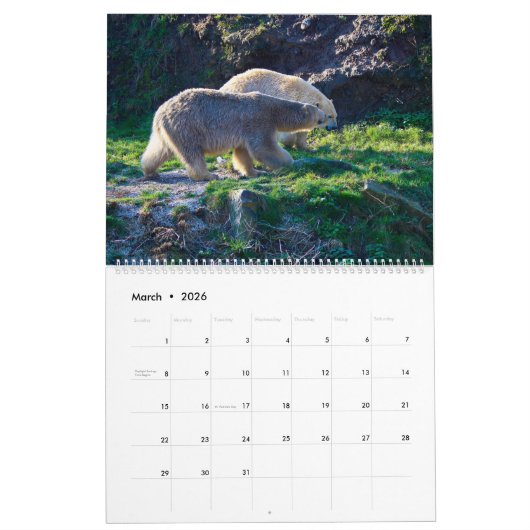 Polar Bear Themed 2025 Wall Calendar Geschenk Kalender (Mär 2026)
