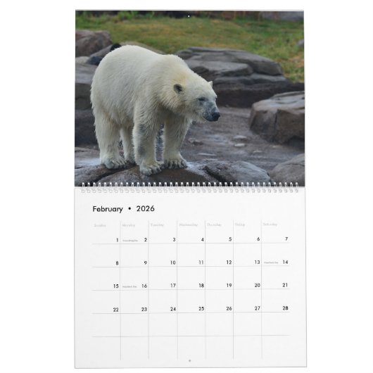 Polar Bear Themed 2025 Wall Calendar Geschenk Kalender (Feb 2026)