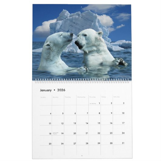 Polar Bear Themed 2025 Wall Calendar Geschenk Kalender (Jan 2026)
