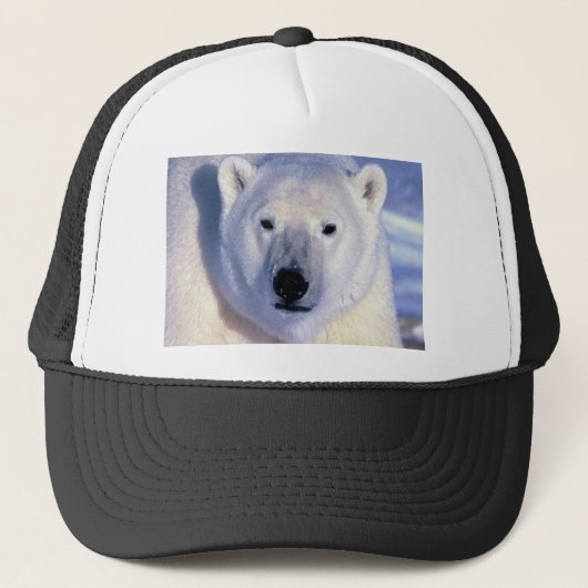 Polar Bear Truckerkappe (Vorderseite)
