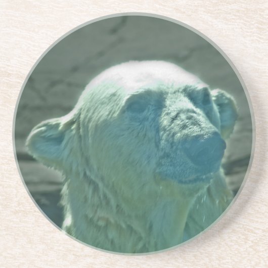 Polar Bear Untersetzer (Vorne)