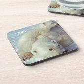 Polar Bear Untersetzer (Linke Seite)