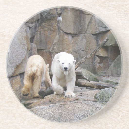 POLAR BEAR UNTERSETZER (Vorne)