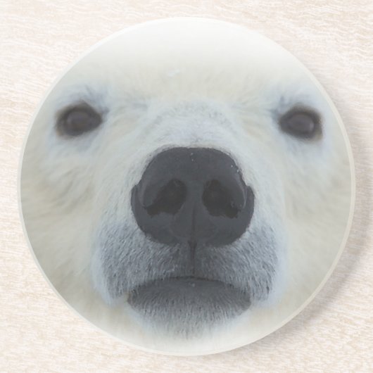 Polar Bear Untersetzer (Vorne)