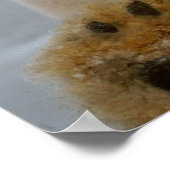 polar bear, Ursus maritimus, curiously looks Poster (Ecke)
