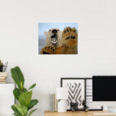 polar bear, Ursus maritimus, curiously looks Poster (Heimbüro)
