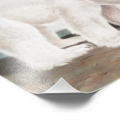 Polar Bear (Ursus maritimus) Illustration Fotodruck (Ecke)