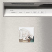 Polar Bear (Ursus maritimus) Illustration Magnet (In Situ (Geschirrspüler))