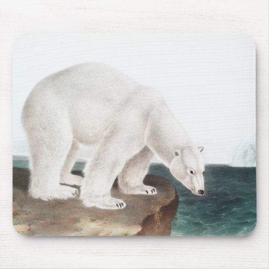 Polar Bear (Ursus maritimus) Illustration Mousepad (Vorne)