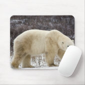 Polar Bear Ursus maritimus) in Churchill Mousepad (Mit Mouse)