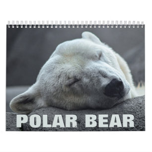 Polar Bear Wall Calendar Kalender