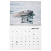 Polar Bear Wall Calendar Kalender (Jan 2027)