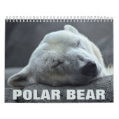 Polar Bear Wall Calendar Kalender (Titelbild)