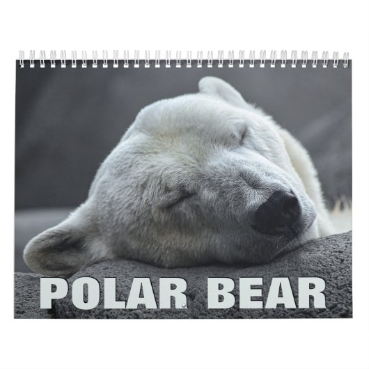 Polar Bear Wall Calendar Kalender (Titelbild)