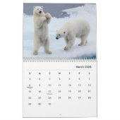 Polar Bear Wall Calendar Kalender (Mär 2026)