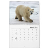 Polar Bear Wall Calendar Kalender (Feb 2026)