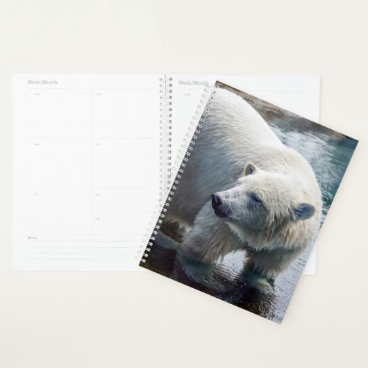 Polar Bear Weekly/Monthly Planner Planer (Anzeige)