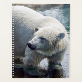 Polar Bear Weekly/Monthly Planner Planer