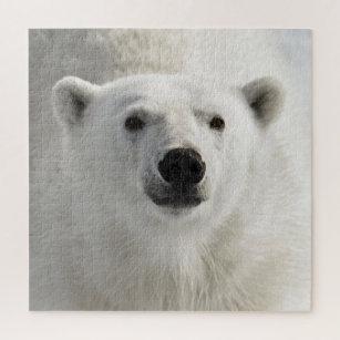 Polar Bear Wild Animal Artic Winter Puzzle