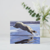 Polar Bear Wildlife Series #13 Postcard Postkarte (Stehend Vorderseite)