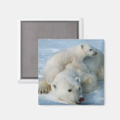 Polar_bear_with_cub Bärenliebhaber Magnet (Vorderseite/Rückseite)