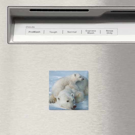 Polar_bear_with_cub Bärenliebhaber Magnet (In Situ (Geschirrspüler))