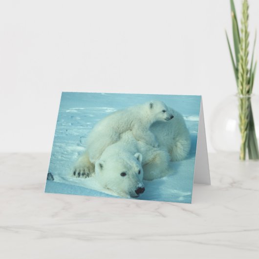 Polar bear with cub karte (Vorderseite)