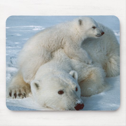 Polar_bear_with_cub Mousepad (Vorne)