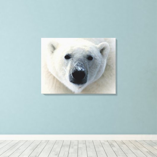 Polar Bear Wrapped Canvas Leinwanddruck (Insitu (Holzboden))