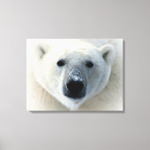Polar Bear Wrapped Canvas Leinwanddruck (Vorderseite)
