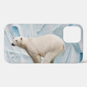 Polar Bear: Zoo Habitat Glimpse Case-Mate iPhone Hülle (Rückseite (Horizontal))