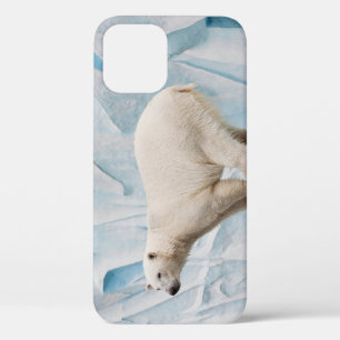 Polar Bear: Zoo Habitat Glimpse Case-Mate iPhone Hülle