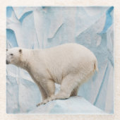 Polar Bear: Zoo Habitat Glimpse Glasuntersetzer (Vorderseite)