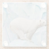 Polar Bear: Zoo Habitat Glimpse Glasuntersetzer (Rückseite)