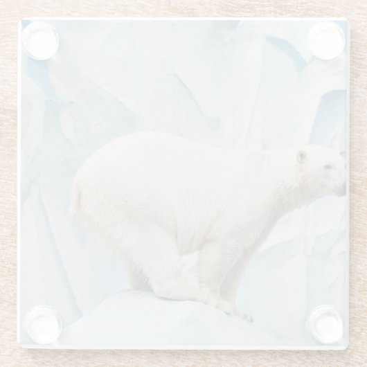 Polar Bear: Zoo Habitat Glimpse Glasuntersetzer (Rückseite)