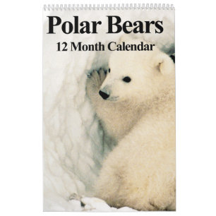 Polar Bears - 12-Monats-Kalender Kalender