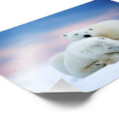 Polar Bears Foto Print (Ecke)