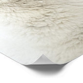 Polar Bears playing in the snow Poster (Ecke)
