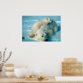 Polar Bears Poster (Küche)