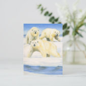 Polar Bears Postkarte (Stehend Vorderseite)