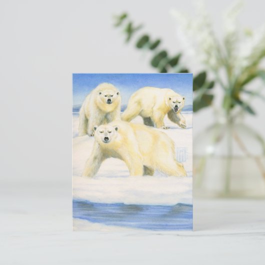 Polar Bears Postkarte (Stehend Vorderseite)