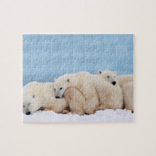 Polar Bears Puzzle (Horizontal)