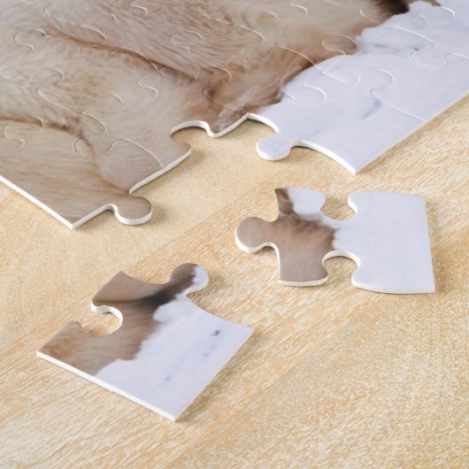 Polar Bears Puzzle (Seite)