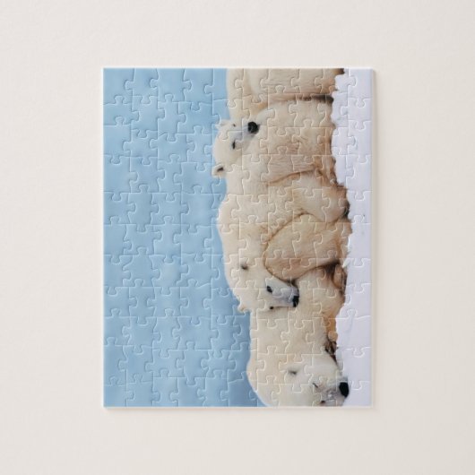 Polar Bears Puzzle (Vertikal)